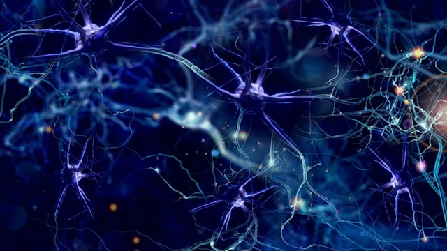 Brain Neurons Images  Free Download on Freepik