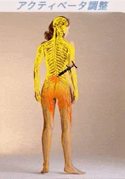 アクティベータメソッドとは何か？ - ACTIVATOR NETWORK JAPAN