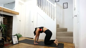 Related Embedded Video Item Thumbnail