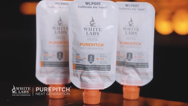 Flüssighefe WLP672 Lactobacillus brevis - White Labs • Brouwland 