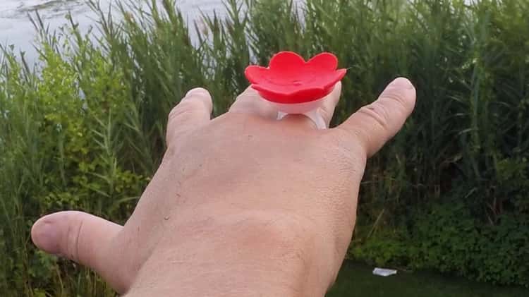 Hummingbird on sale feeder ring