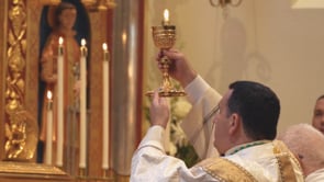 Eucharistic Revival VI