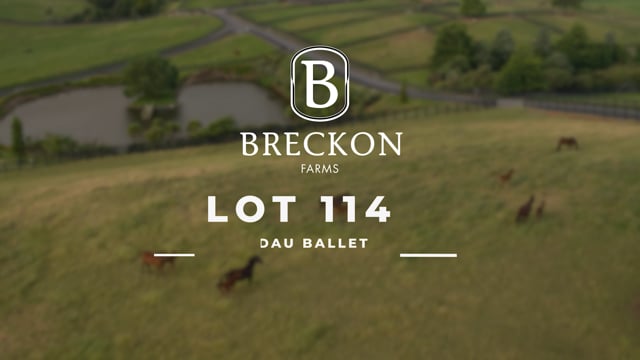 Lot 114
