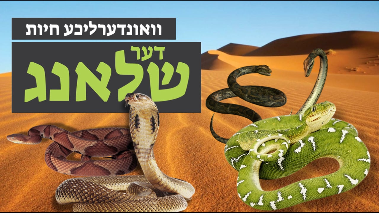וואונערליכע חיות - די שלאנג