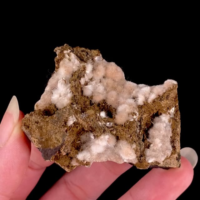 Bultfonteinite (very rare)