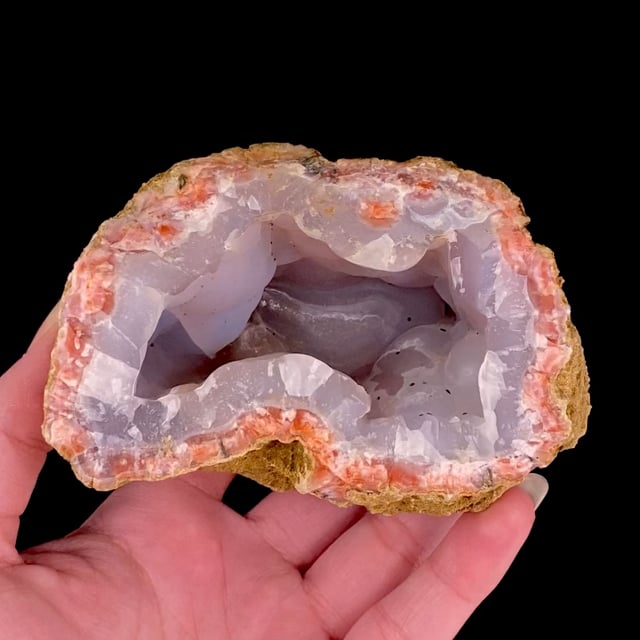 Quartz (var: Chalcedony) Geode (beautiful color)