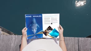 Shoalhaven, Australia’s New Top Regional Cultural Destination