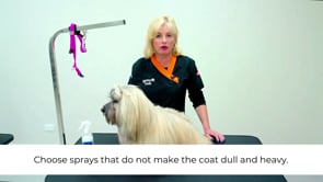 MICROBITE Line Brushing Masterclass.mp4