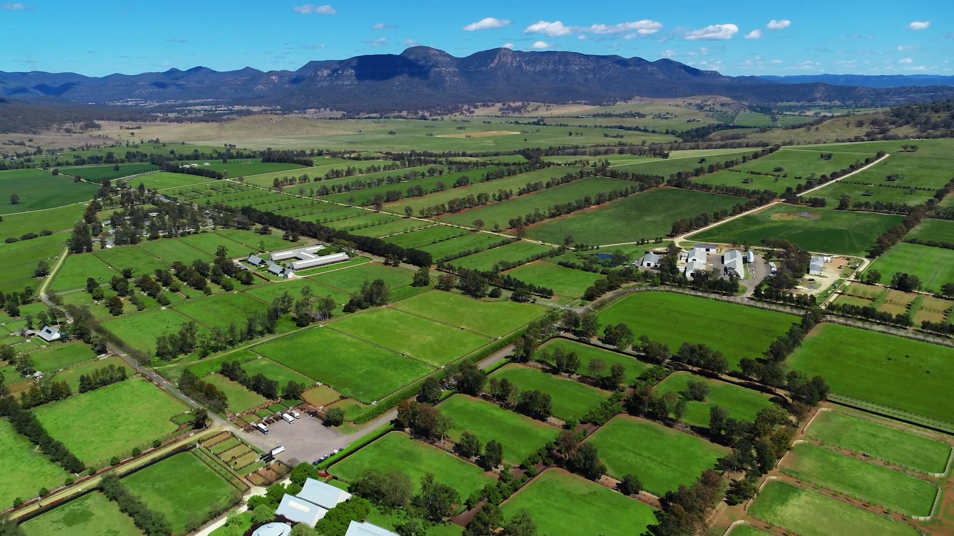 Coolmore Australia Coolmore TV