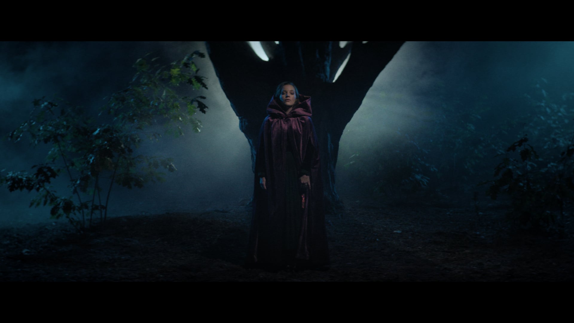 Sanah - Wilcza zamieć