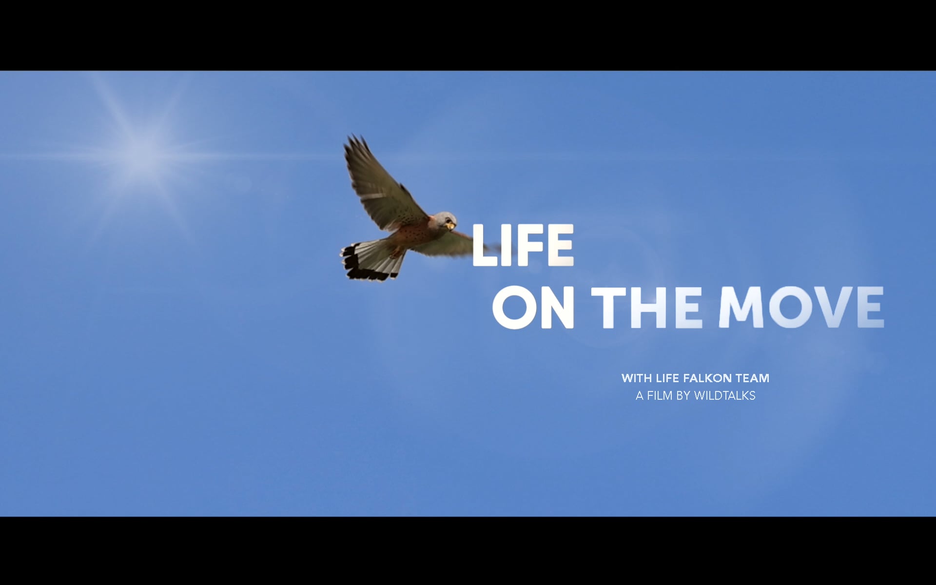 life-on-the-move-on-vimeo