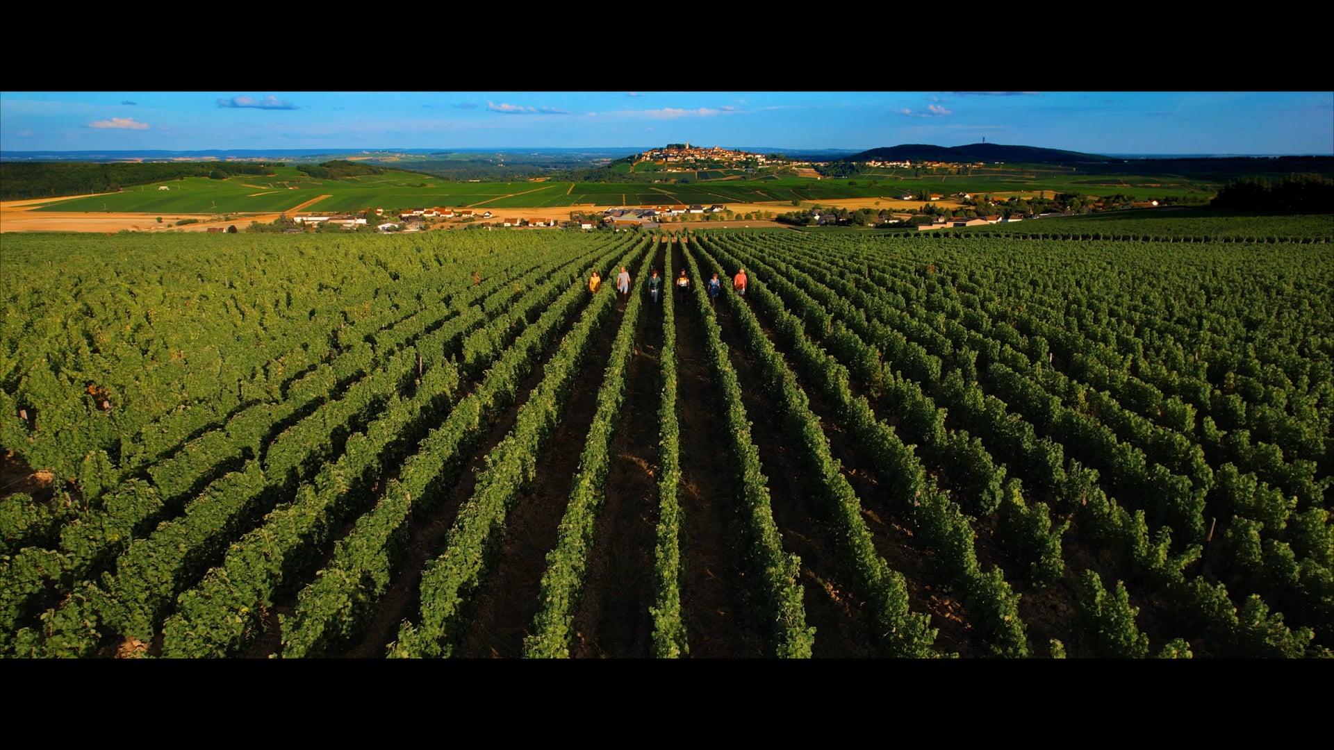 Un an au Domaine Matthias et Emile Roblin - Sancerre