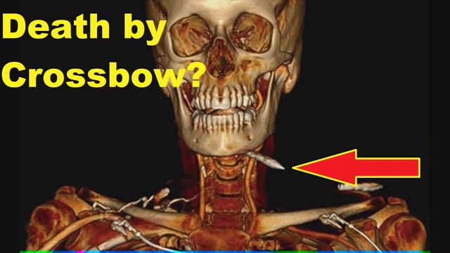 Ballistic Jelly Truth Test (Backyard Forensics) - Airgun101