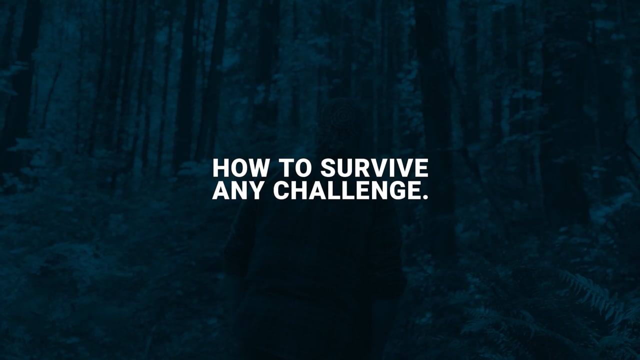 Les Stroud THE SUCCESS INSTINCT