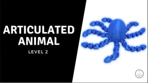 Related Embedded Video Item Thumbnail