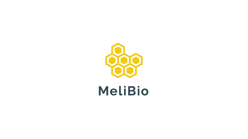 MeliBio × Eleven Madison Park — Honey Without Bees