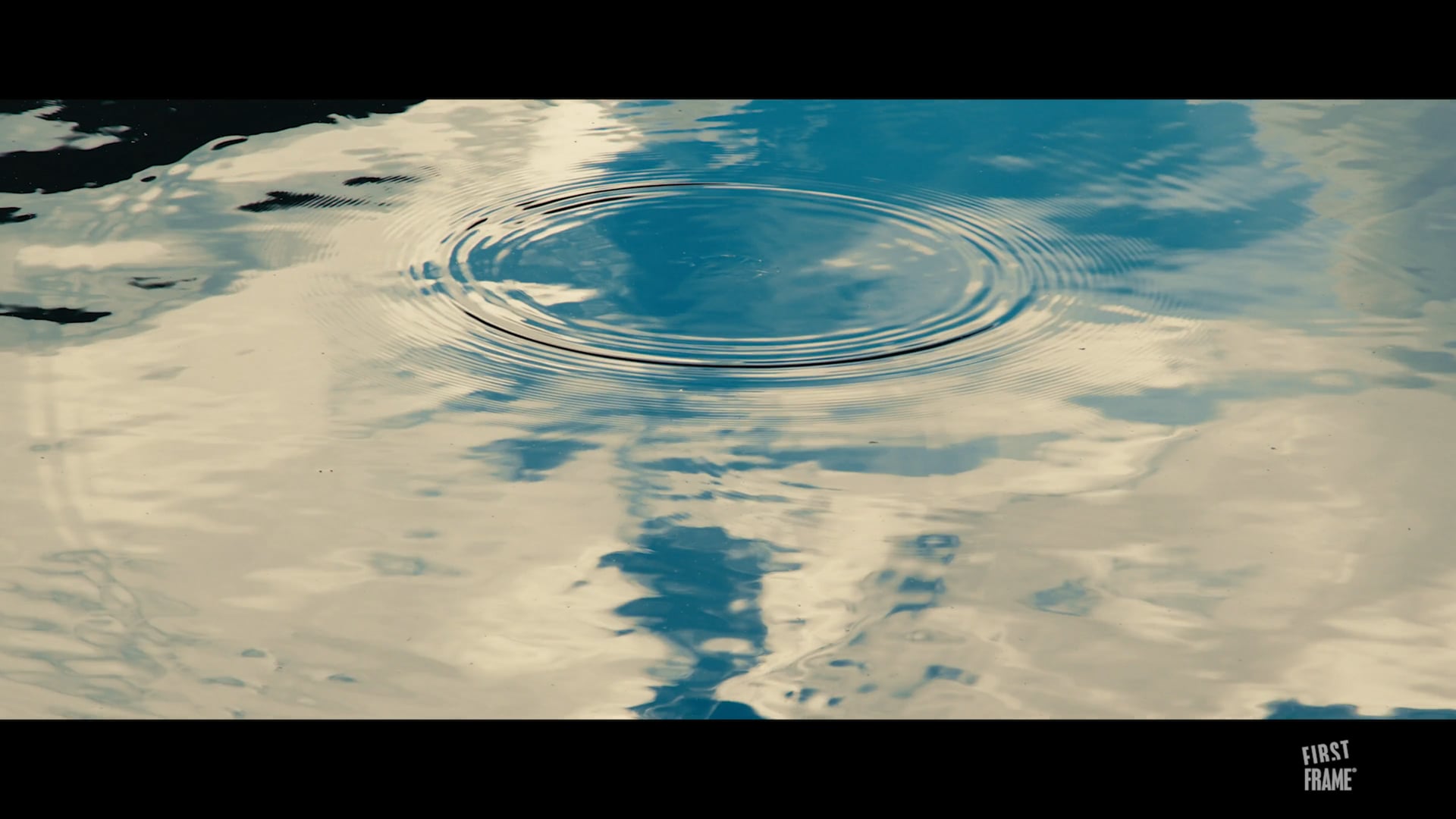 ENSY PERFECT ENVIRONMENT