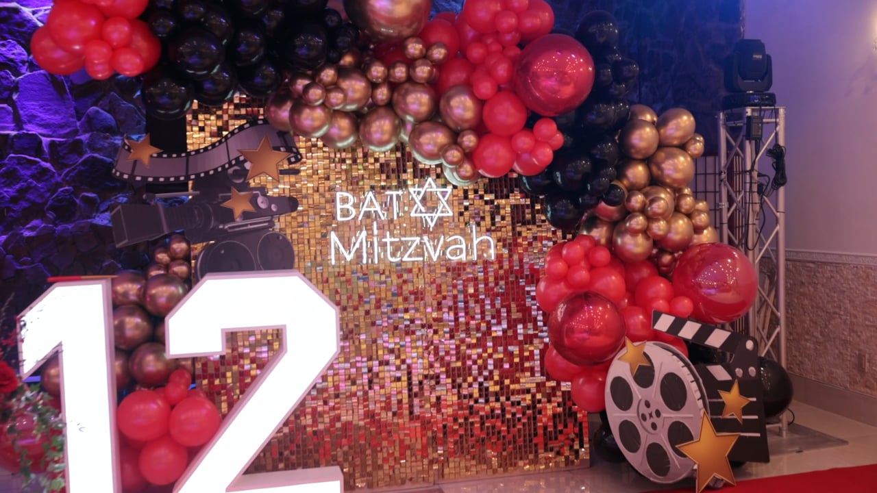Ariela's Bat Mitzvah Highlight