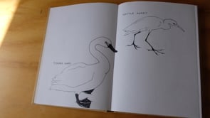 Related Embedded Video Item Thumbnail