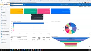 Overview Video