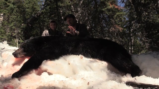 Mike's Black Bear Hunt in Idaho