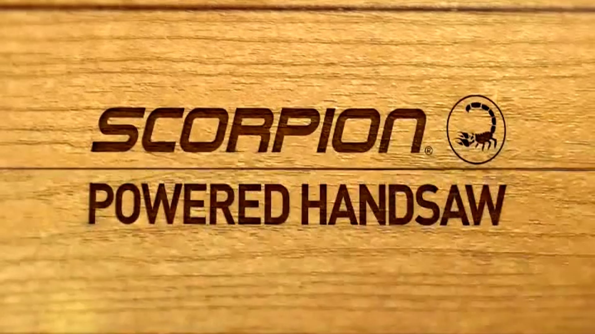 BLACK+DECKER 500W 3-in-1 Autoselect SCORPION 60" (2013) DUT.mp4