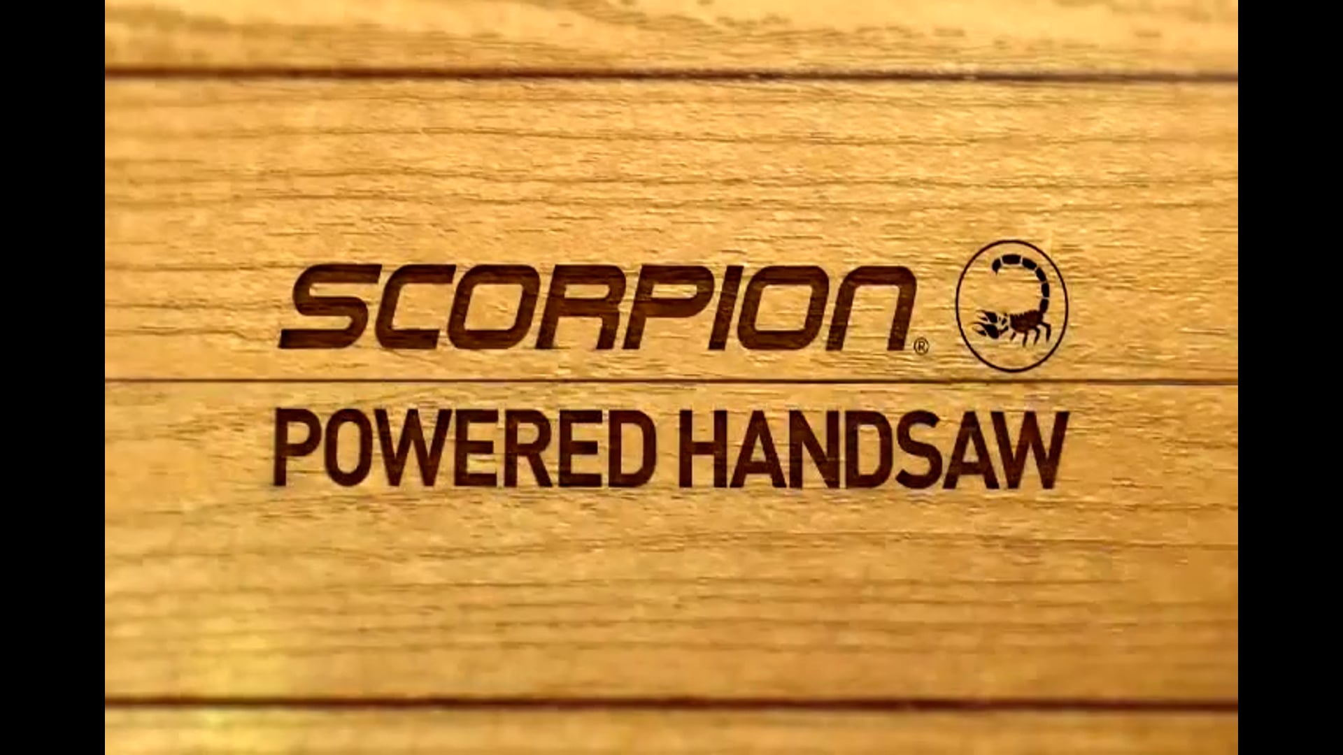 BLACK+DECKER 500W 3-in-1 Autoselect SCORPION 60" (2013) DUT.mp4