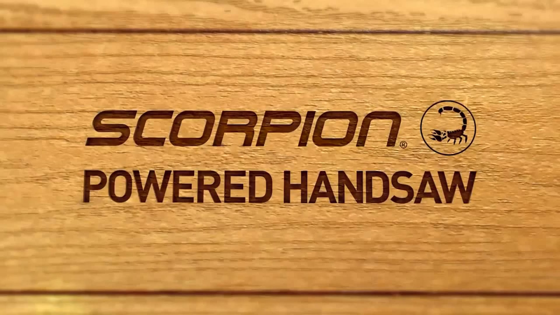 BLACK+DECKER 500W 3-in-1 Autoselect SCORPION 60 (2013) FRA