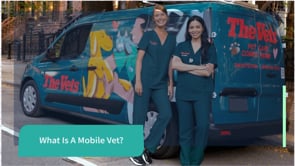 Vet Near Me