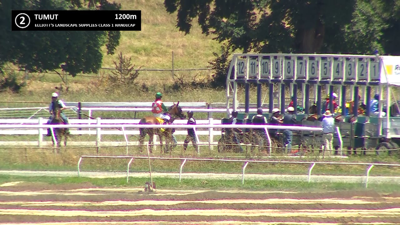 Race 2