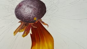 A short video of my painting in progress