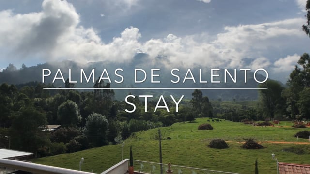 Salento - Palmas