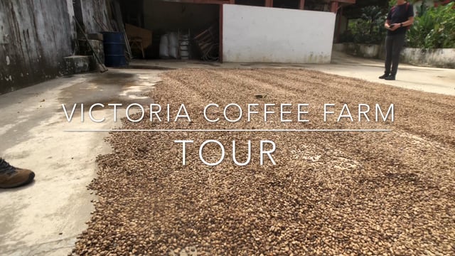 Santa Marta - Coffee Farm