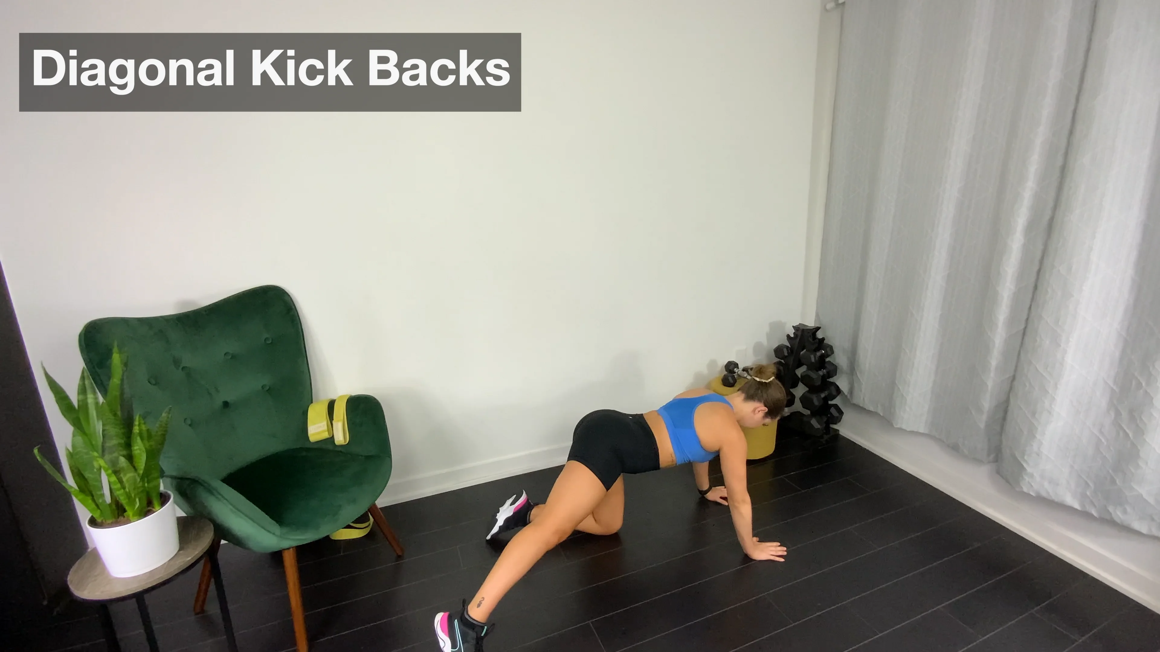 Bodyweight Diagonal Kickbacks