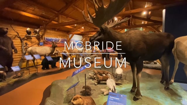 McBride Museum - Whitehorse - Yukon
