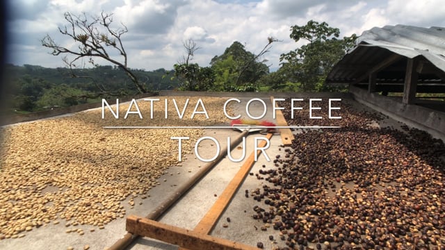 Filandia -  Nativa Coffee Farm