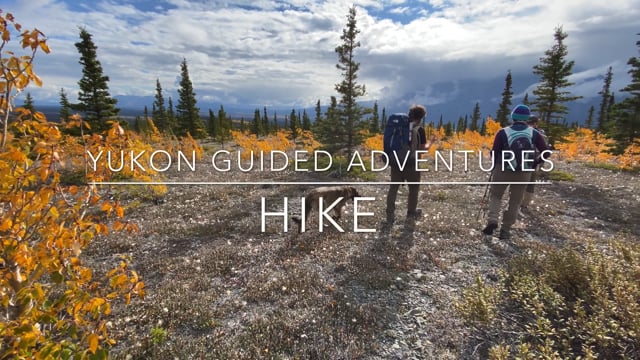Haines Junction - Yukon - Hiking