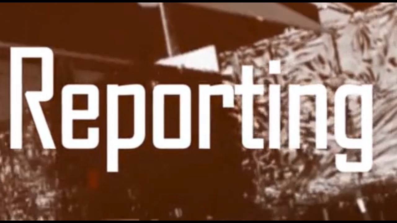 Violo da Salvini.mp4