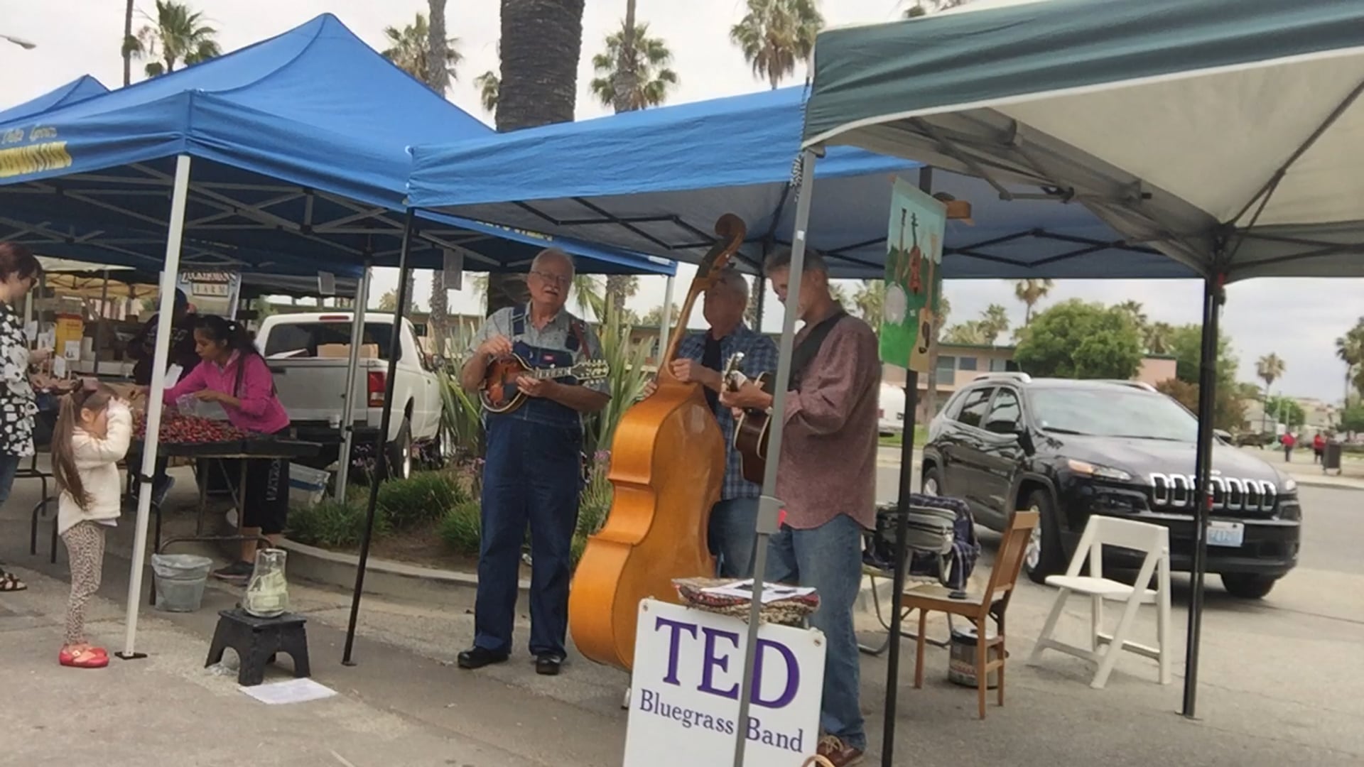 Promotional video thumbnail 4 for TED bluegrass band