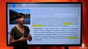 video : les-services-ecosystemiques-3986