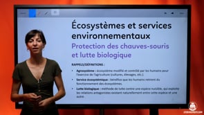 video : protection-des-chauves-souris-et-lutte-biologique-3984