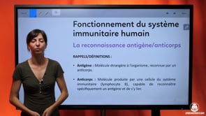 video : la-reconnaissance-antigene-anticorps-3980