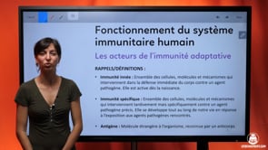 video : les-acteurs-de-limmunite-adaptative-3981