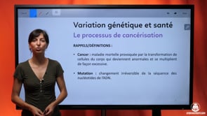 video : le-processus-de-cancerisation-3978