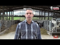 Granulación y apetecibilidad, dos factores imprescindibles