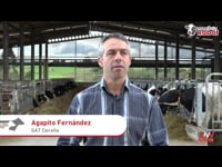 Primeros resultados con el programa Prima en la recría