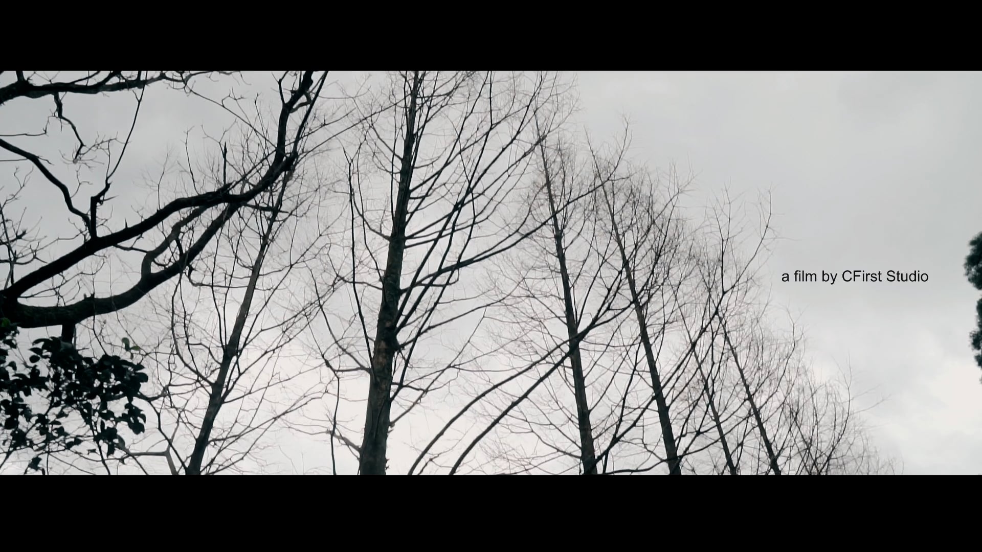 Han & Kun-Prewedding