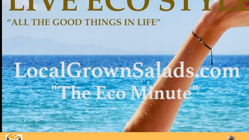 Local Grown Salads