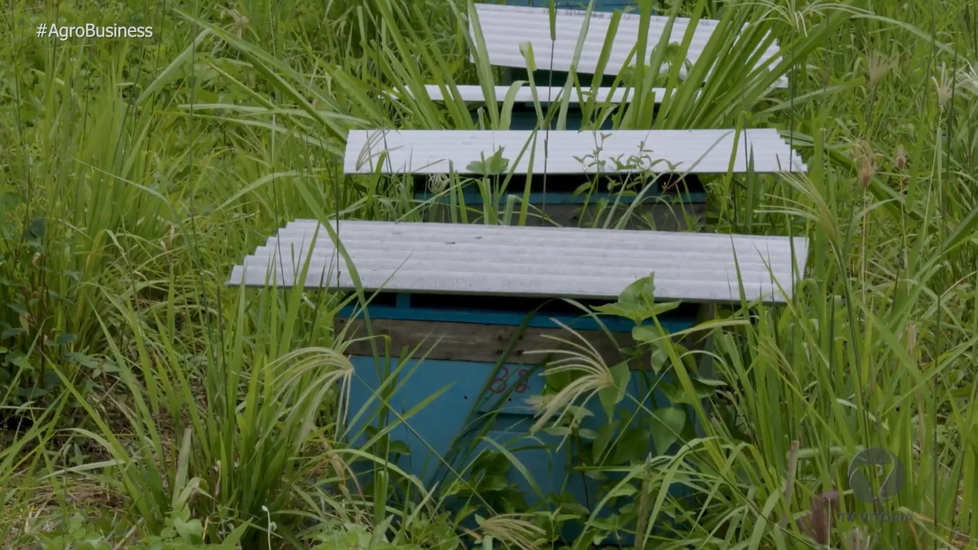 Agro Business - Folha Vitória