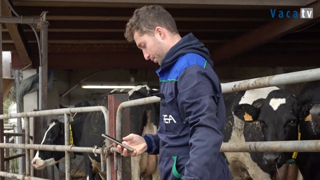 Pioneiros en apostar polo novo programa de xestión DairyNet Box